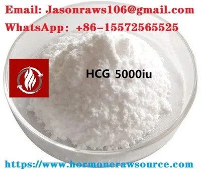Polvo de péptidos HCG (gonadotropina coriónica humana) de calidad superior 5000iu para culturismo CAS: 9002-61-3